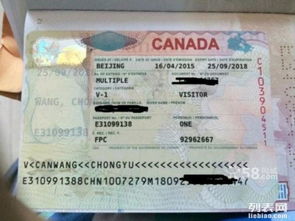 专业代办美国、加拿大、澳大利亚、新西兰等国签证服务